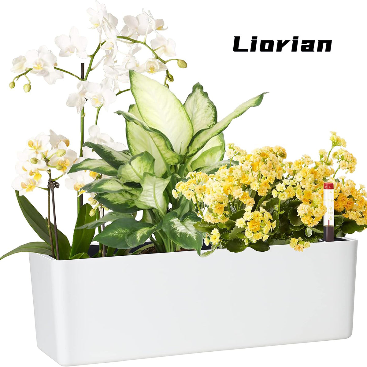 Liorian Elongated Self Watering Planter Pots Window Box 5.5 x 16 inch Indoor Home Garden Modern Decorative Planter Pot for All House Plants Flowers Herbs (White,1-Pack)