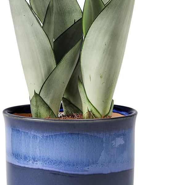 Liorian 5.8 Inch Plant Pot: Ceramic Planter with Drainage Hole & Saucer - Gradient Blue Flowerpot for Indoor & Outdoor Plants with Separate Tray