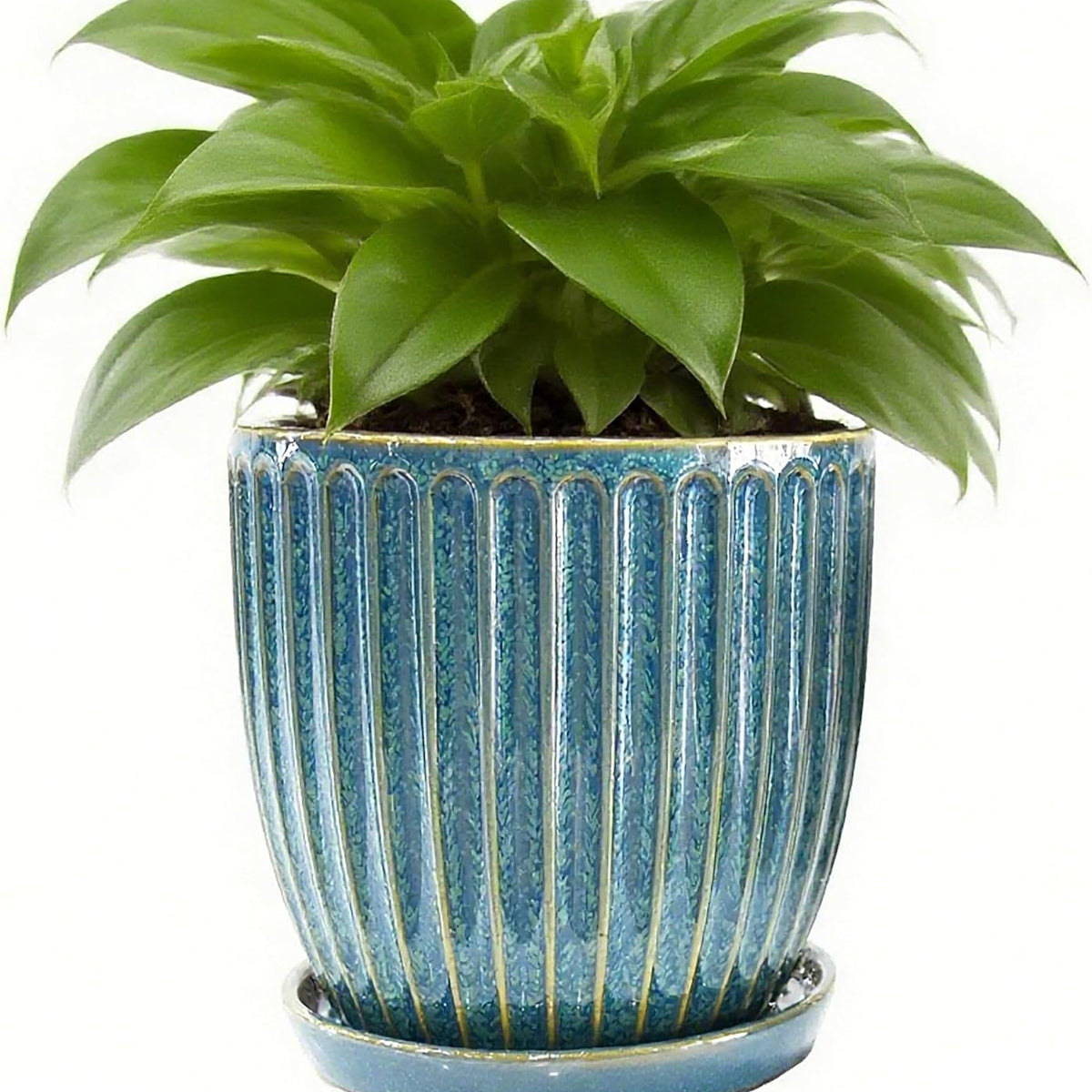 Liorian 6 Inch Glaze Blue Ceramic Plant Pots with Drain Hole & Saucer, Flower Pots for Indoor/Outdoor Plants - Succulent, Snake Plant, Money Tree, Aloe Vera, Basil Planter