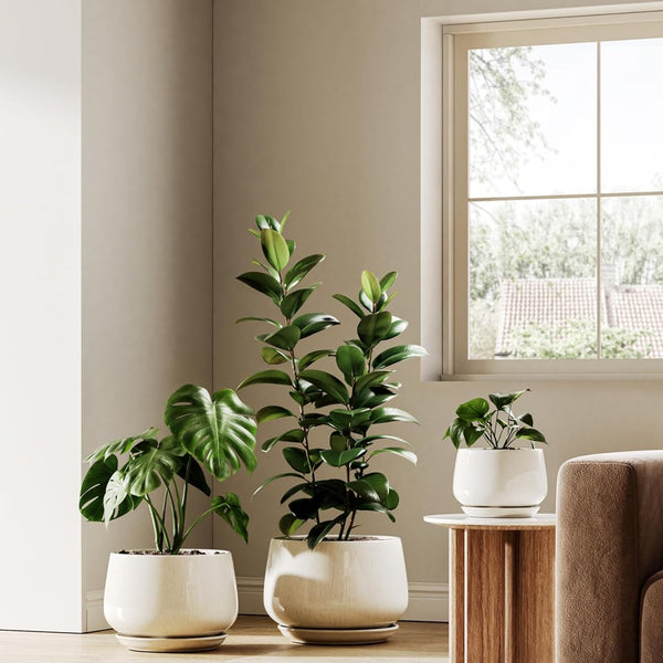 Liorian Ceramic Planter, 10 Inch Plant Pot with Drainage Hole & Saucer – Durable Indoor Planter for Modern Home Decor, Reactive Glaze Beige