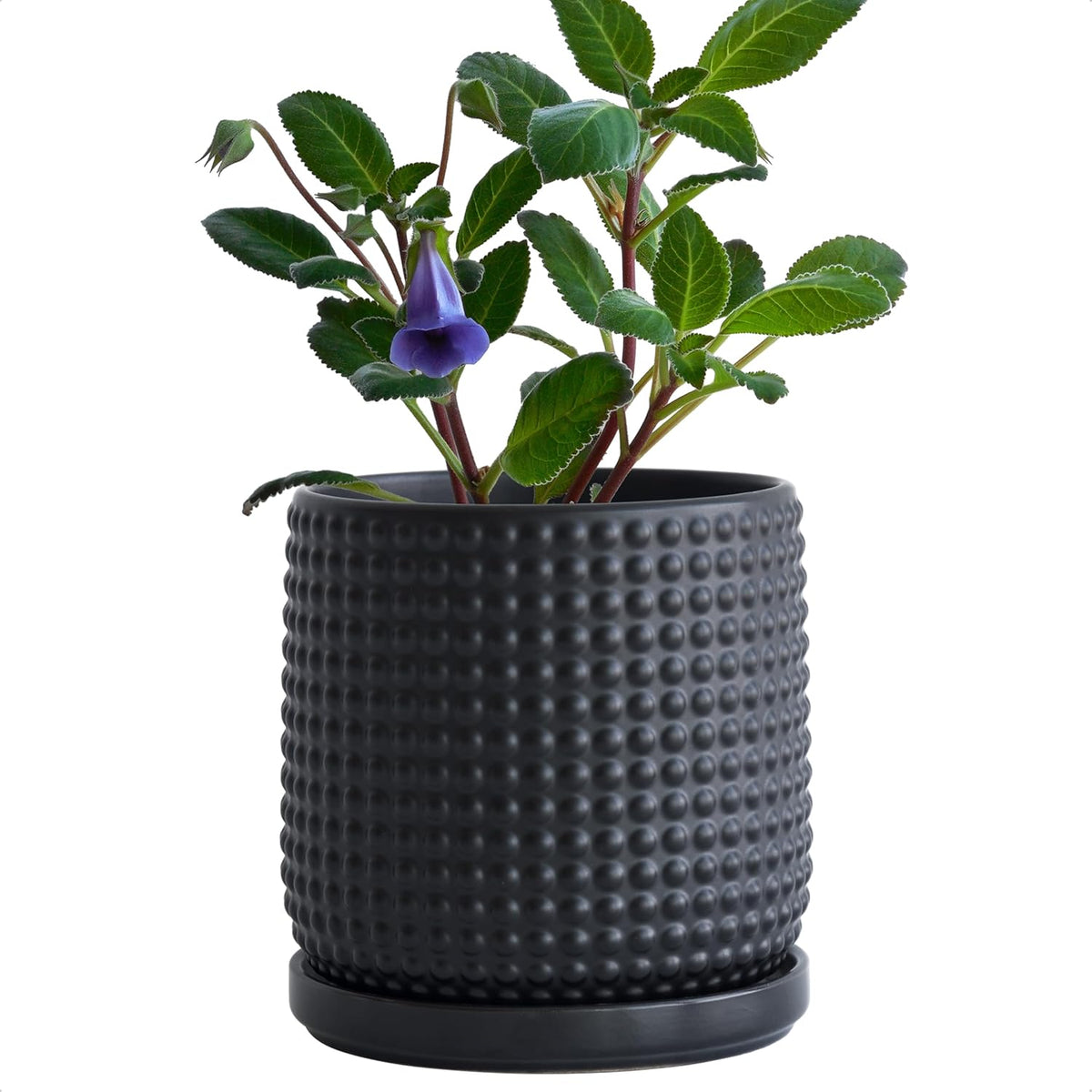 Liorian 6 Inch Ceramic Beaded Stoneware Planter Pot - Flower Pot with Drainage Holes and Saucers for Indoor Succulent Plants or Flowers, Ebony Matte, 27-C-X-6