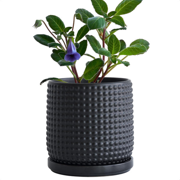 Liorian 6 Inch Ceramic Beaded Stoneware Planter Pot - Flower Pot with Drainage Holes and Saucers for Indoor Succulent Plants or Flowers, Ebony Matte, 27-C-X-6