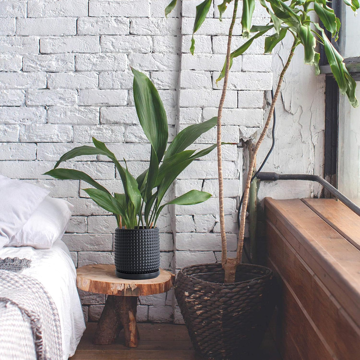 Liorian 6 Inch Ceramic Beaded Stoneware Planter Pot - Flower Pot with Drainage Holes and Saucers for Indoor Succulent Plants or Flowers, Ebony Matte, 27-C-X-6