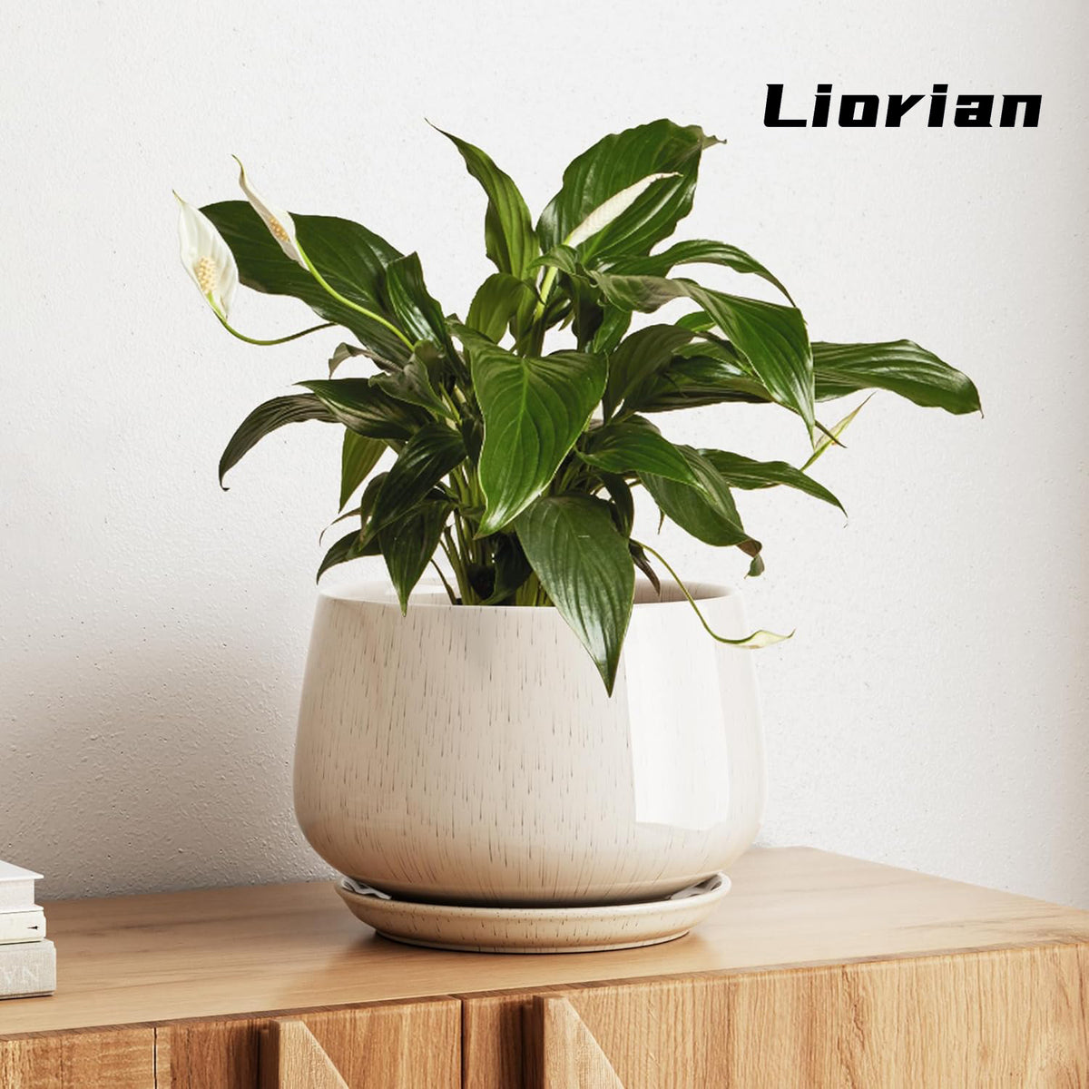 Liorian Ceramic Planter, 10 Inch Plant Pot with Drainage Hole & Saucer – Durable Indoor Planter for Modern Home Decor, Reactive Glaze Beige